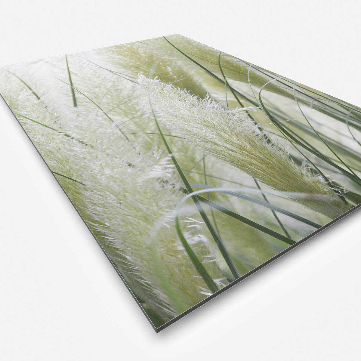 Vierkante wanddecoratie met wit Pampass gras erop.