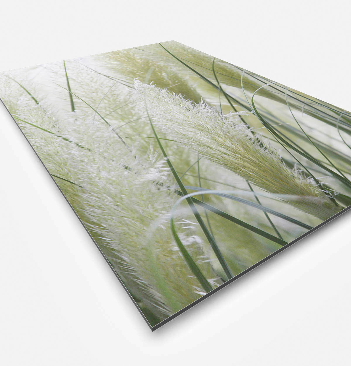 Vierkante wanddecoratie met wit Pampass gras erop.