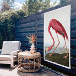 HIP ORGNL American Flamingo Garden Tuinposter