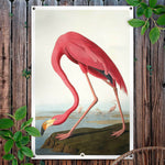 HIP ORGNL American Flamingo Garden Tuinposter