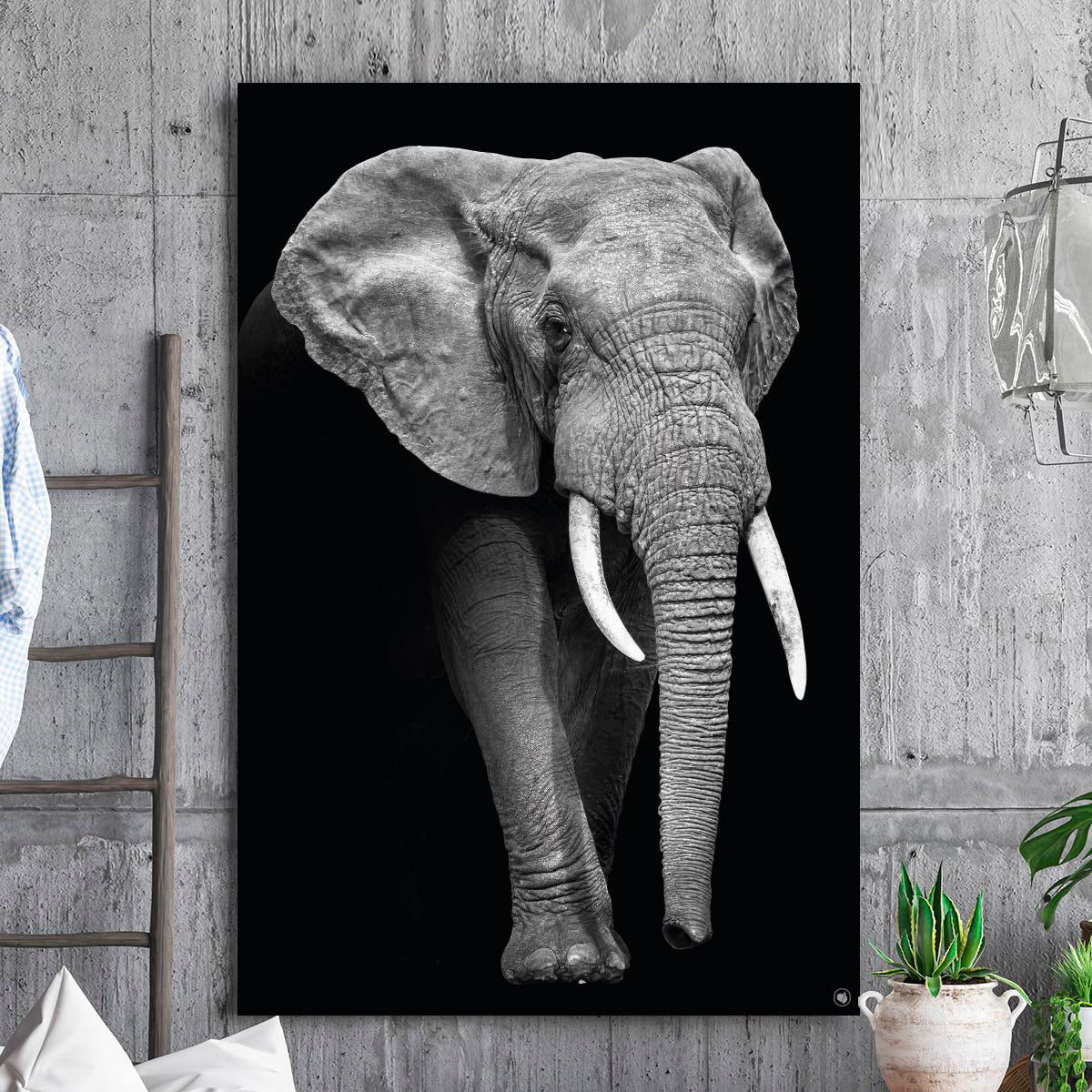 Vierkante wanddecoratie HIPORGNL_Animals_Elephant_Front