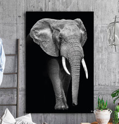 Vierkante wanddecoratie HIPORGNL_Animals_Elephant_Front
