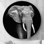Wandcirkel HIPORGNL_Animals_Elephant_Front