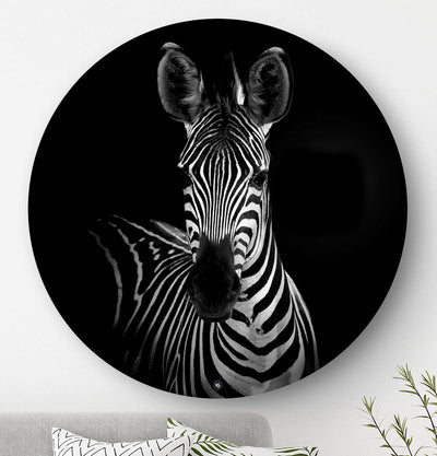 Wandcirkel HIPORGNL_Animals_Rond_Zebra_Front
