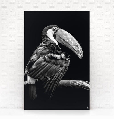 Wanddecoratie Schilderij Toekan Dibond