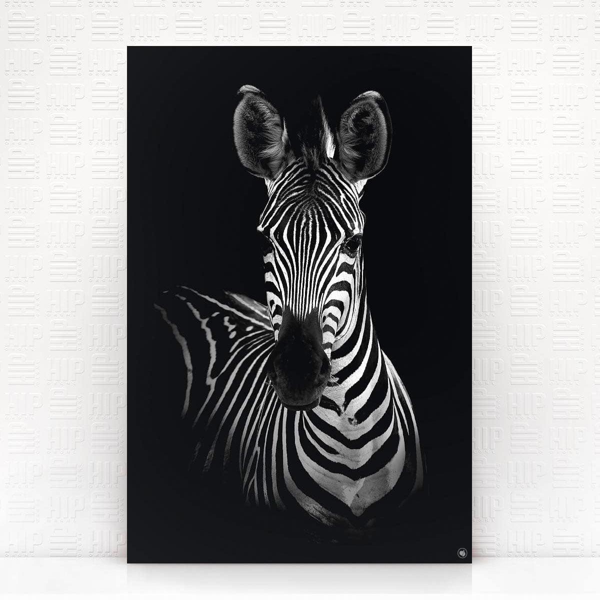 Wanddecoratie Schilderij Zebra Dibond