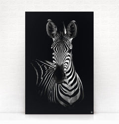Wanddecoratie Schilderij Zebra Dibond