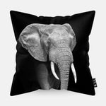 Kussen met een olifant in zwart-wit erop afgebeeld.