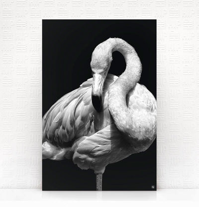 Wanddecoratie Schilderij Flamingo Dibond