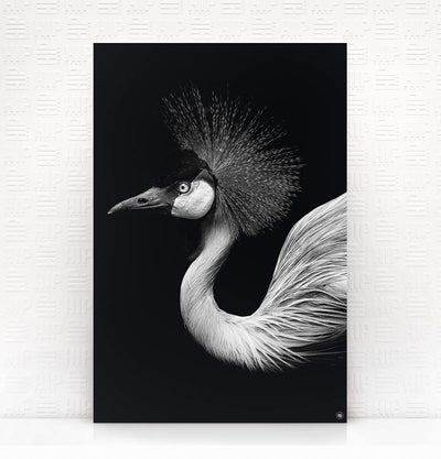 Wanddecoratie Schilderij Vogel Dibond