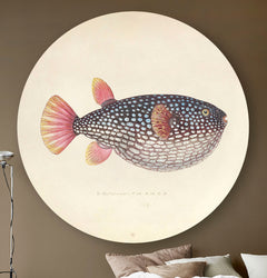 Muurcirkel met een fish met roze vin en een licht bruine achtergrond en een bank en een lamp