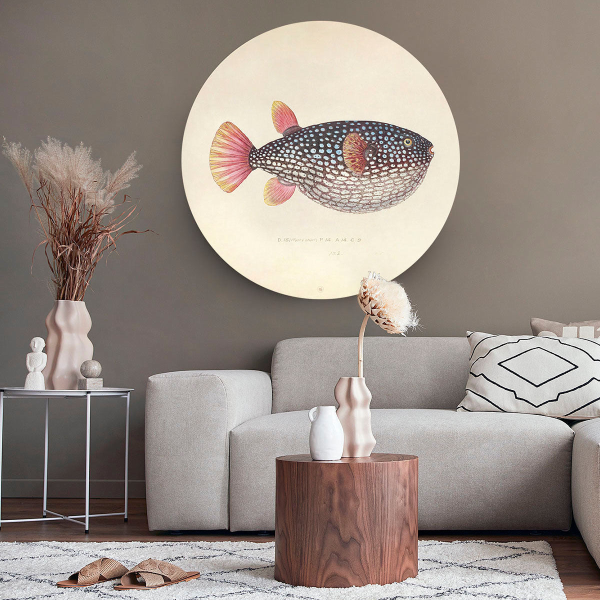 Wandcirkel met een vis tegen een grijze muur en een lichtgrijs bankstel ervoor