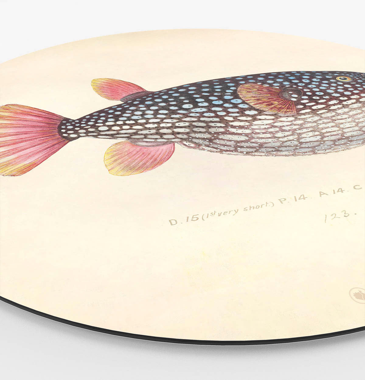 Zijaanzicht van een wandcirkel met een fish met roze vin en een beige achtergrond