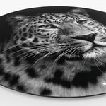 Wandcirkel met een luipaard in het zwart-wit erop Side