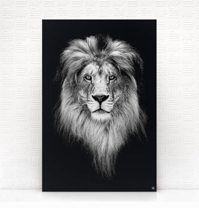 Wanddecoratie Schilderij Zebra