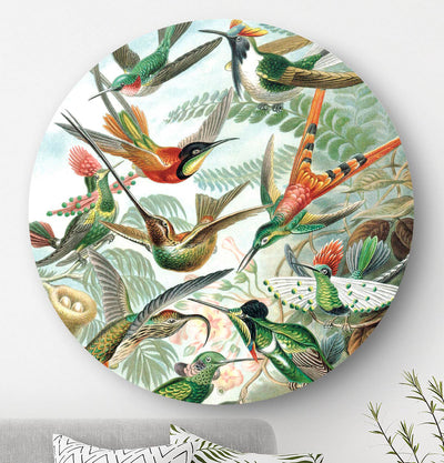 Wandcirkel HIPORGNL_Masters_Hummingbird_Front