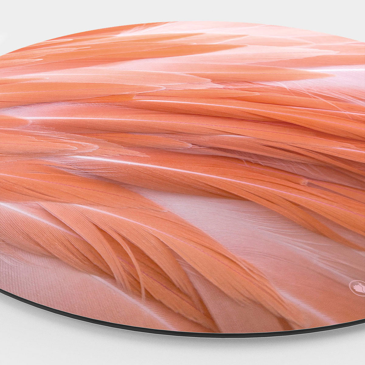 HIP ORGNL Flamingo Feathers Wandcirkel Side