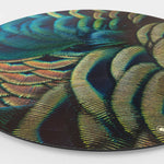 HIPORGNL_Naturals_Peacock_Feathers_Side